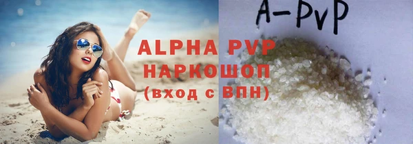 соль ск Няндома
