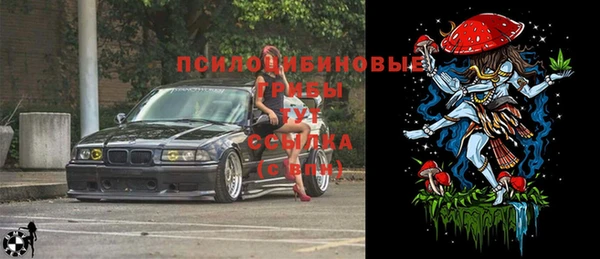 гашик Нязепетровск