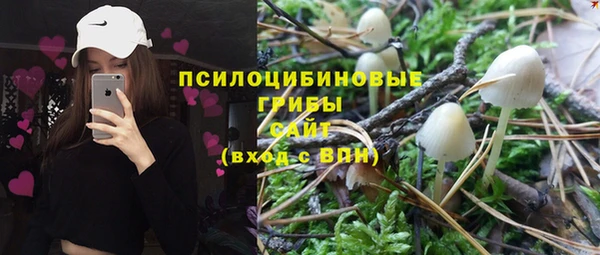 соль ск Няндома